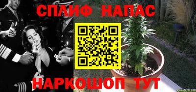 наркотики Ставрополь