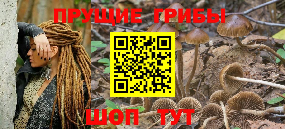 Псилоцибиновые грибы прущие грибы Сергиев Посад